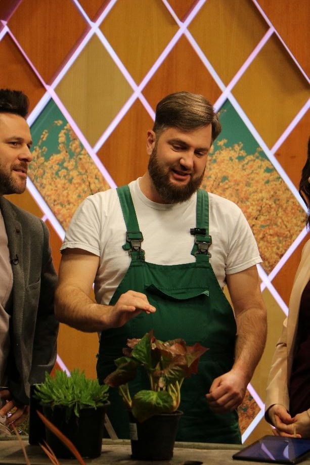 Dísznövény gondozási tanácsok kertészeti szakértőtől TV műsorban