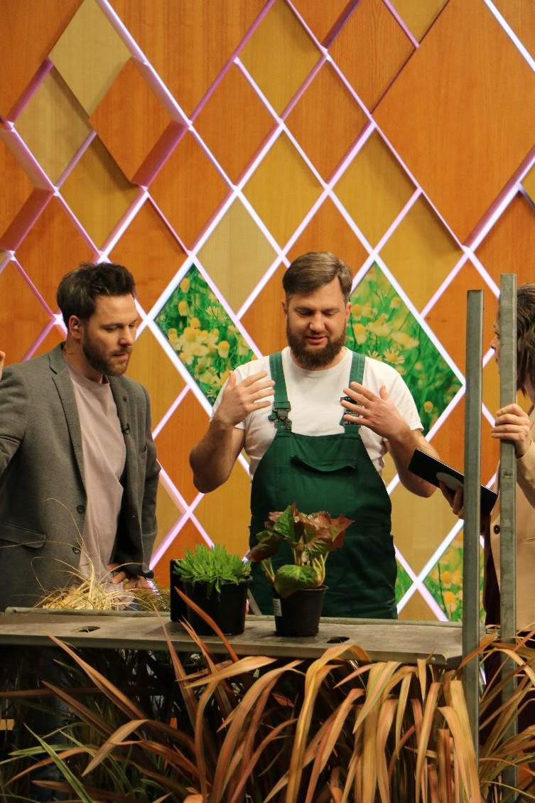 Kertészeti szakértő dísznövény gondozási tanácsok televíziós műsorban