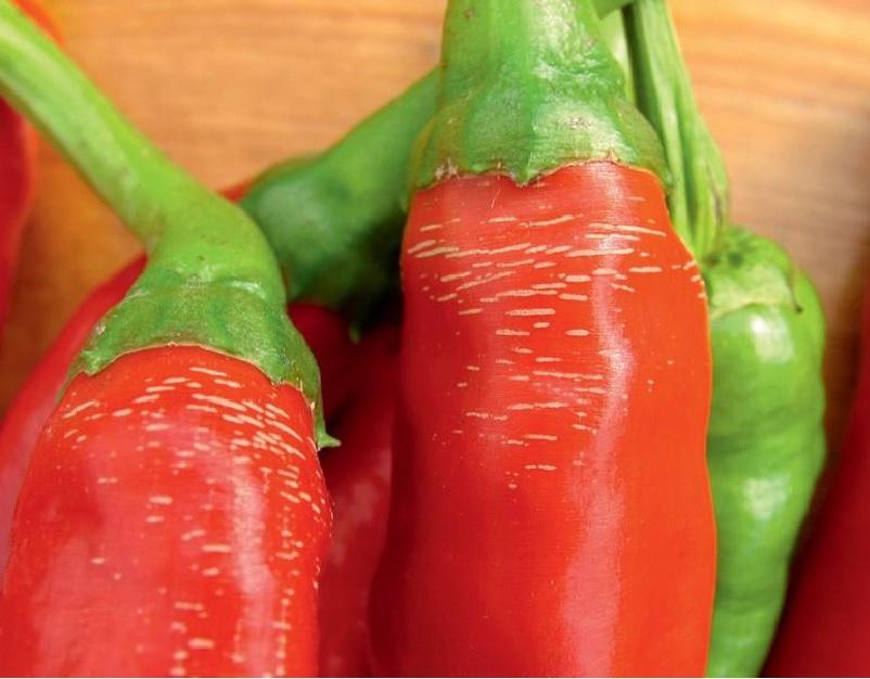 Hőmérséklet ingadozás jele paprika termésen