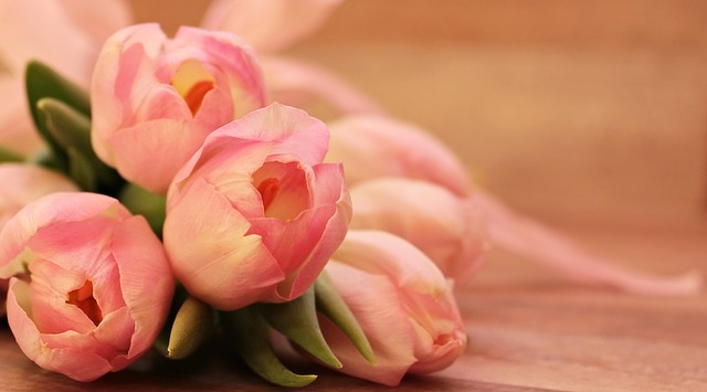 Meseszép rózsaszín tulipánok