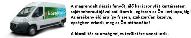 karácsonyfa kiszállítás