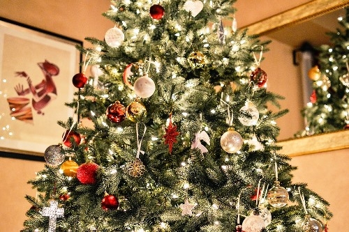 Lucfenyő karácsonyfa rendelhető a Megyeri kertészetből!