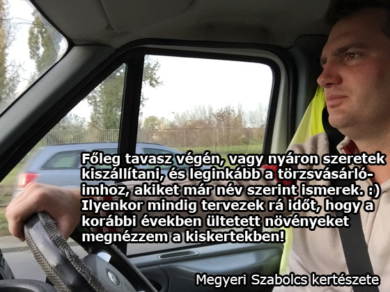 Megyeri Szabolcs