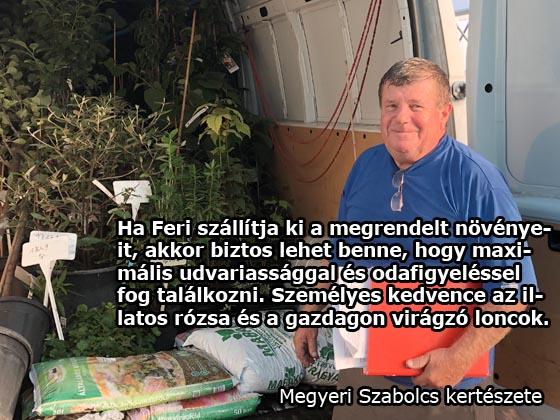 Sütő Tibor