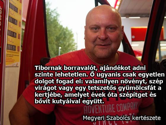 Sütő Tibor