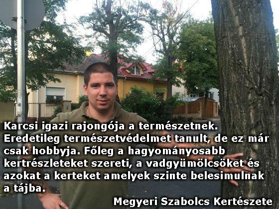 Micsu Károly
