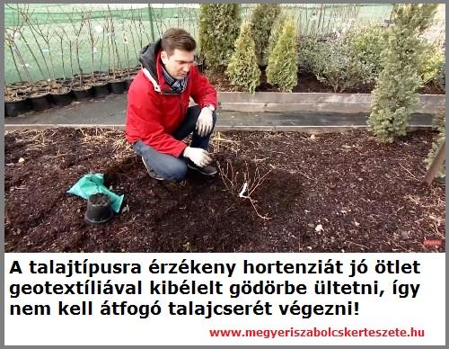 Geotextil rendelhető a Megyeri kertészet webáruházából!