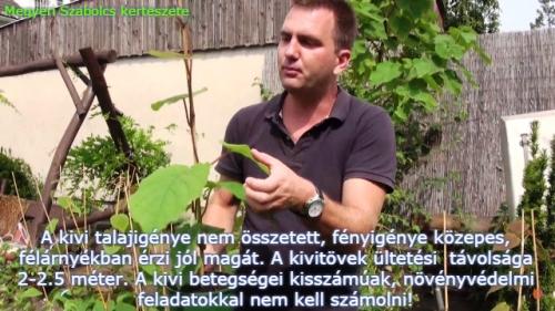 Minden Amit A Kivirol Tudni Kell