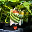 Kép 4/4 - Cucurbita pepo 'Icona' F1 cukkini