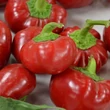 Kép 1/2 - Capsicum 'Peperone Topepo Rosso' paprika
