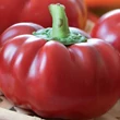 Kép 2/2 - Capsicum 'Peperone Topepo Rosso' paprika