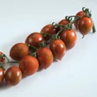 Kép 2/2 - Solanum lycopersicum 'Cookie' F1 - Koktélparadicsom