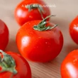Kép 1/3 - Solanum lycopersicum 'Califfo' F1 paradicsom
