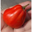Kép 1/3 - Solanum lycopersicum 'Canestrino' F1 oltott paradicsom