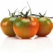 Kép 2/2 - Solanum lycopersicum 'Reginella' F1 - Paradicsom (rezisztens)