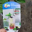Kép 2/2 - Feketeribizli menta