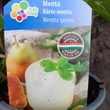 Kép 2/2 - Körte menta