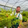 Kép 2/2 - Leycesteria formosa 'Golden Lanterns'® (syn.: 'Notbruce') – Himalájai dudváslonc