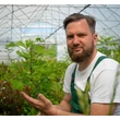 Kép 2/4 - Ginkgo biloba - Páfrányfenyő