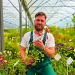 Kép 2/8 - Aquilegia 'Red Hobbit' – Harangláb
