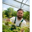 Kép 2/6 - Aruncus dioicus – Erdei tündérfürt  Megyeri Szabolcs