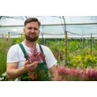 Kép 2/2 - Astilbe japonica 'Red Sentinel' – Japán tollbuga