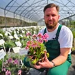 Kép 2/6 - Bergenia 'Pink Dragonfly' - Sötét rózsaszín bőrlevél
