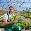 Kép 2/5 - Brunnera macrophylla 'Silver Heart' – Kaukázusi nefelejcs