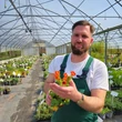 Kép 2/10 - Geum coccineum 'Tosai' – Gyömbérgyökér