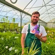 Kép 2/2 - Iris pallida 'Variegata' – Tarka dalmát nőszirom