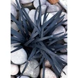 Kép 1/5 - Ophiopogon planiscapus 'Niger' – Feketelombú, laposszárú kígyószakáll