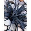 Kép 1/5 - Ophiopogon planiscapus 'Niger' – Feketelombú, laposszárú kígyószakáll
