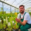 Kép 2/2 - Iris pseudacorus 'Variegata' – Mocsári nőszirom