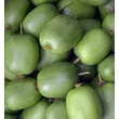 Kép 3/3 - Actinidia arguta 'Rogow' - Édes mini kivi (Termős)