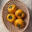 Kép 2/2 - Diospyros kaki 'Vaniglia' - Datolyaszilva (kakiszilva)