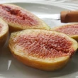 Kép 3/5 - Ficus carica 'Longue d'Aout' (syn.: 'Banane', 'Jérusalem') – Füge
