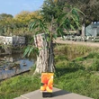 Kép 6/6 - Fruit Me® 'Peach Me Yellow' törpe őszibarackfa