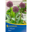 Kép 4/4 - Allium 'Ostara' - Díszhagyma képek rendelés vásárlás a Megyeri Szabolcs Kertészeti webáruházban