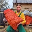 Kép 2/4 - Fadarálék (vegyes gally-apríték)
