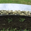 Kép 2/2 - Geotextília 50 g/m2 - GEOTEX (fekete)