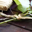 Kép 3/3 - Raffia kötöző - RAPHIA – 50 g (natúr)
