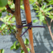 Kép 1/2 - Rugalmas PVC csőkötöző - TUBEFIX (barna)