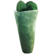 Kép 1/2 - Átteleltető növénytakaró 85 g/m2 PP - QUATEX (zöld)