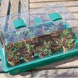 Kép 1/2 - Mini üvegház szellőzővel - RAPID GROW