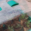 Kép 2/2 - Mini üvegház szellőzővel - RAPID GROW