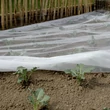 Kép 1/3 - Rovarvédő háló - BIOCONTROL (fehér)