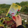 Kép 2/2 - Floramite 240 SC atkaölő hatású kontakt permetezőszer