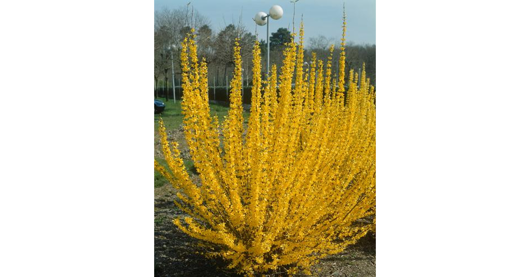 Cappello Pescatore In Cotone Pieghevole - Unisex Per Sole E Avventure - Foto 7