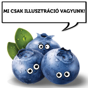 Vaccinium 'Blau Perle' – Kék áfonya