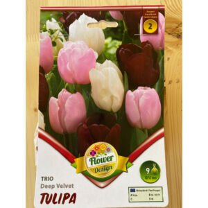 Tulipán Trio - Deep Velvet